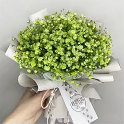 সাধারণ টেক্সচার্ড তোড়া মোড়ানো কাগজ